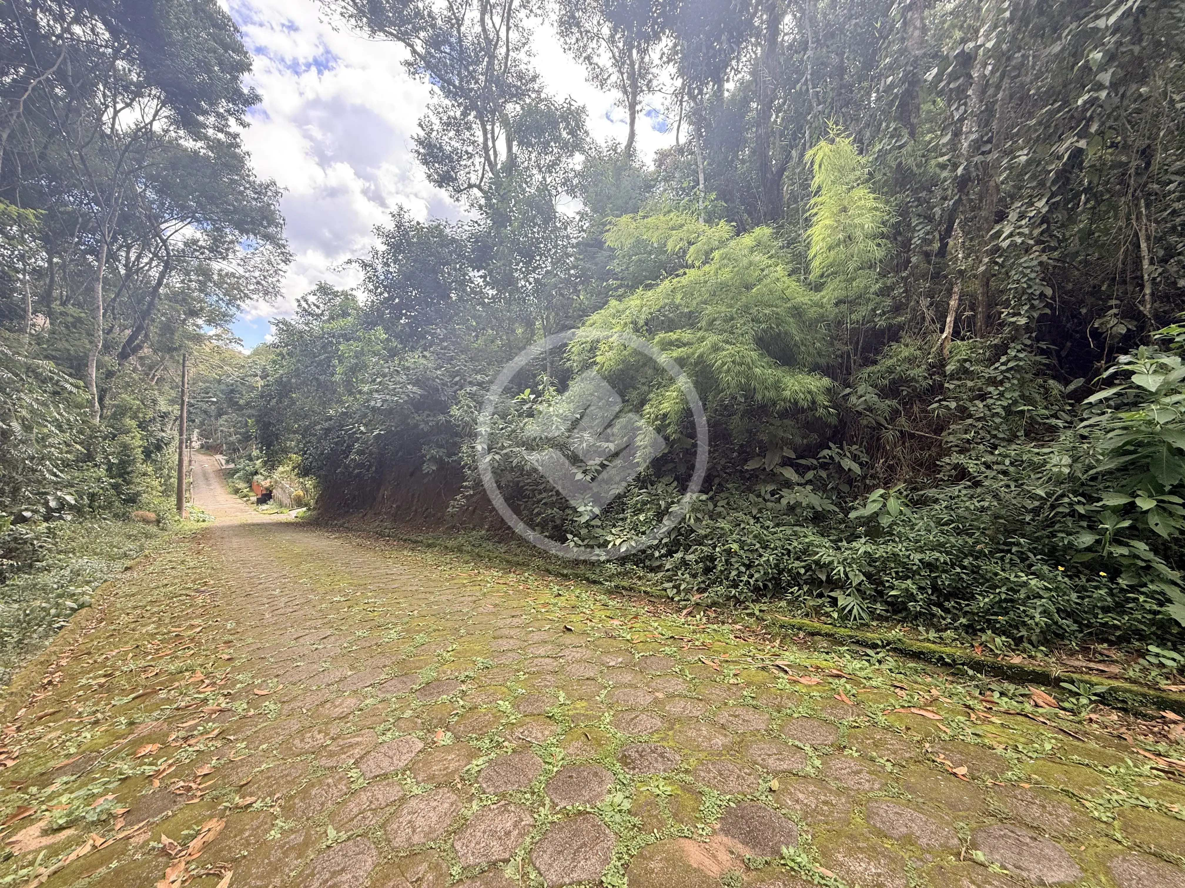 Imagem 2 - Terreno Condomínio em Prata, Teresópolis - RJ