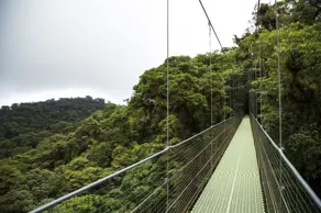 Imagem 6 - Terreno Condomínio em Prata, Teresópolis - RJ