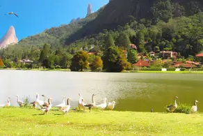 Imagem 6 - Terreno em Vargem Grande, Teresópolis - RJ