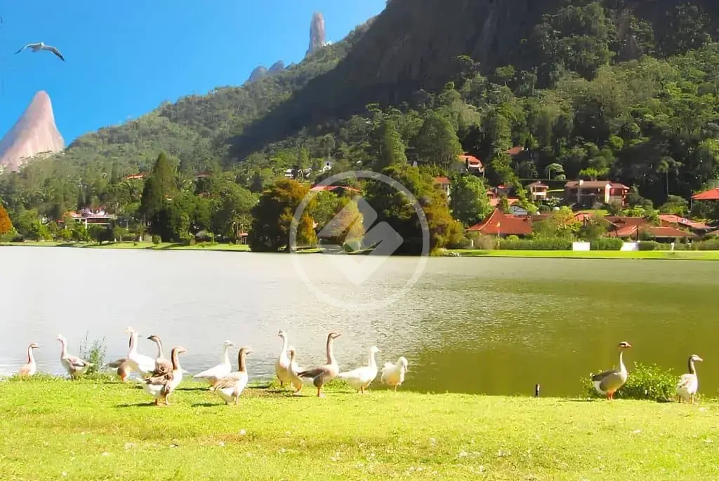 Imagem 6 - Terreno em Vargem Grande, Teresópolis - RJ