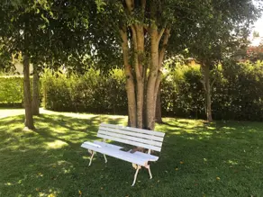 Imagem 2 - Terreno em Vargem Grande, Teresópolis - RJ