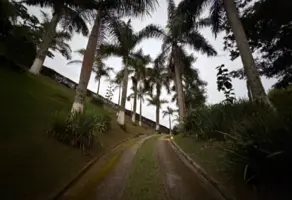Imagem 4 - Sítio em Colônia Alpina, Teresópolis - RJ