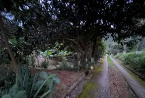 Imagem 5 - Sítio em Colônia Alpina, Teresópolis - RJ