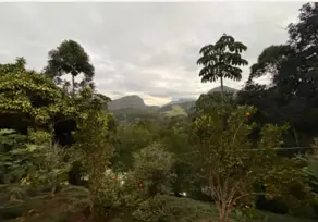 Imagem 6 - Sítio em Colônia Alpina, Teresópolis - RJ