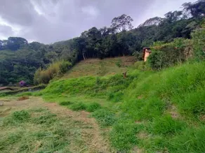 Imagem 4 - Terreno em Carlos Guinle, Teresópolis - RJ