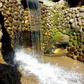 Imagem 3 - Sítio em Caneca Fina, Guapimirim - RJ