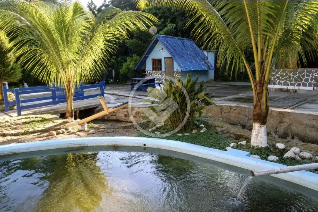 Imagem 1 - Sítio em Jardim Paraiso, Guapimirim - RJ
