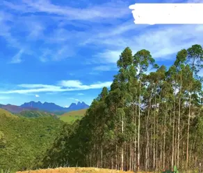Imagem 2 - Terreno Condomínio em Pessegueiros, Teresópolis - RJ