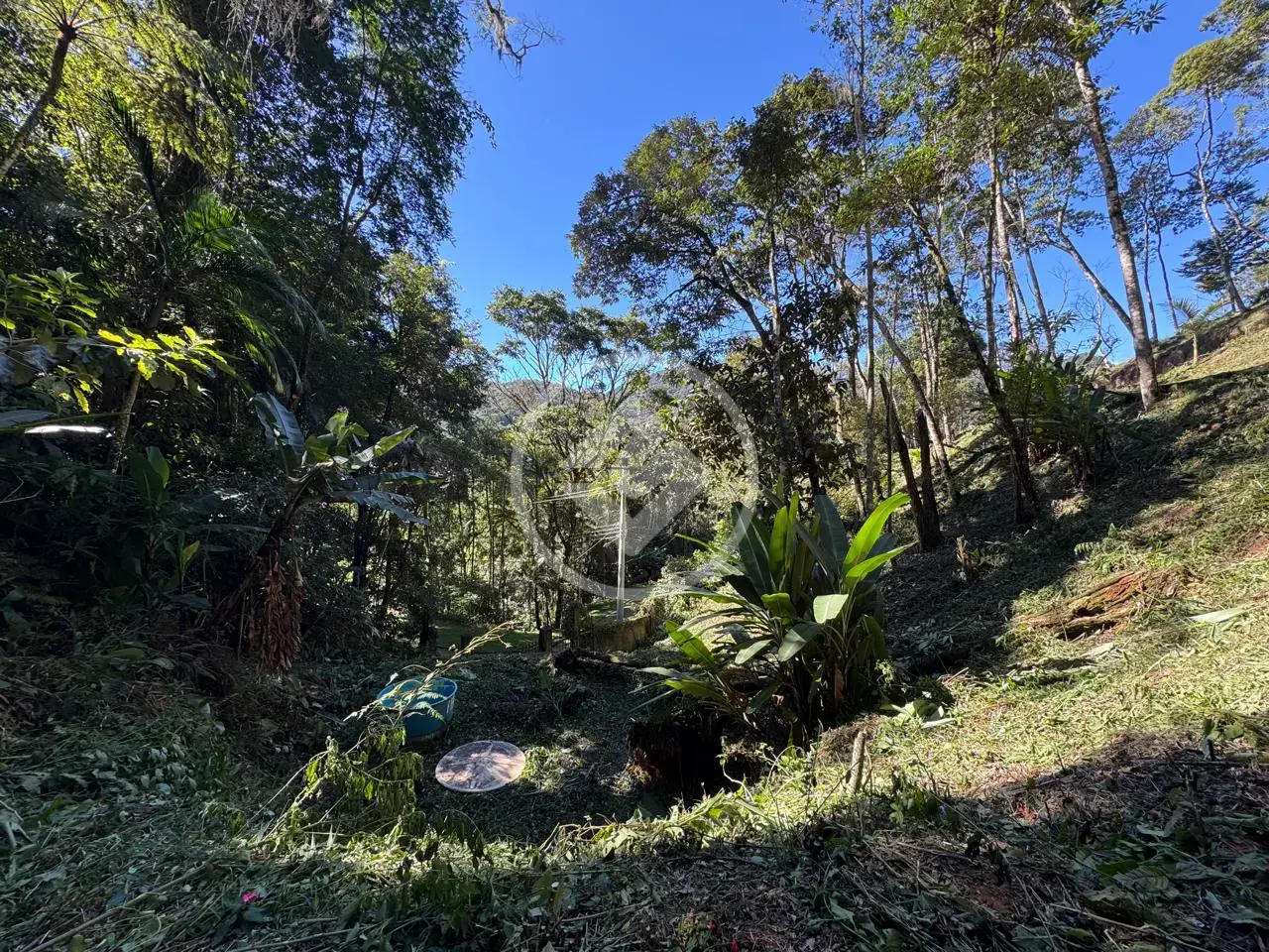 Imagem 1 - Terreno Condomínio em Carlos Guinle, Teresópolis - RJ