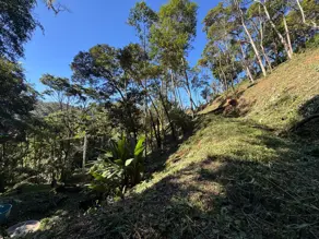 Terreno Condomínio Carlos Guinle, Teresópolis - RJ — foto 2