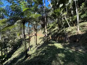 Imagem 4 - Terreno Condomínio em Carlos Guinle, Teresópolis - RJ