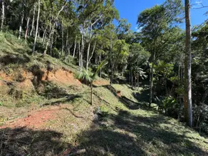 Imagem 2 - Terreno Condomínio em Carlos Guinle, Teresópolis - RJ