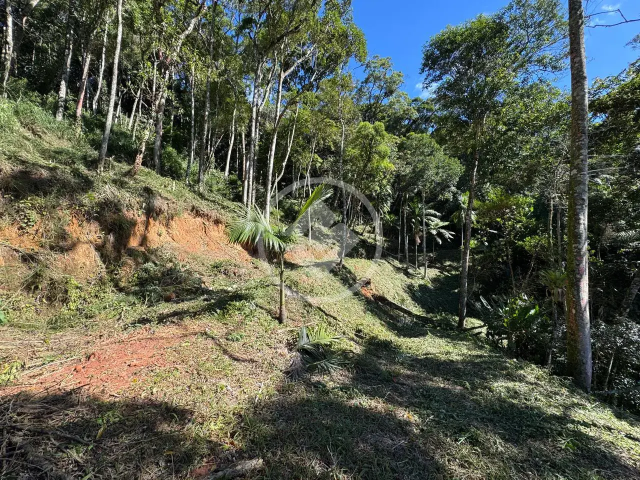 Imagem 2 - Terreno Condomínio em Carlos Guinle, Teresópolis - RJ
