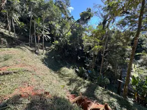 Imagem 3 - Terreno Condomínio em Carlos Guinle, Teresópolis - RJ