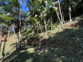 Imagem 5 - Terreno Condomínio em Carlos Guinle, Teresópolis - RJ
