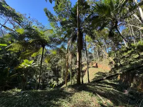 Imagem 6 - Terreno Condomínio em Carlos Guinle, Teresópolis - RJ