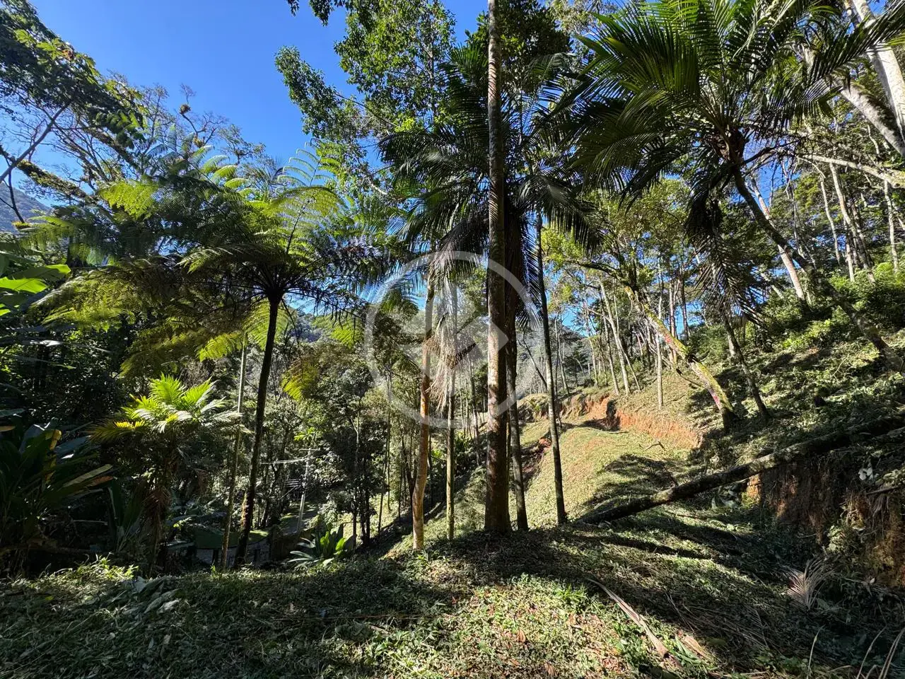 Imagem 6 - Terreno Condomínio em Carlos Guinle, Teresópolis - RJ