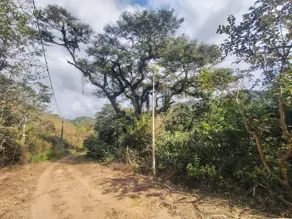 Imagem 3 - Terreno em Fazenda Suiça, Teresópolis - RJ
