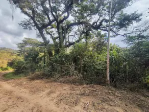 Imagem 4 - Terreno em Fazenda Suiça, Teresópolis - RJ