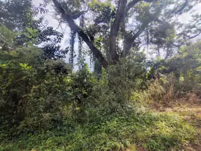 Imagem 6 - Terreno em Fazenda Suiça, Teresópolis - RJ
