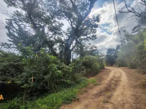 Imagem 5 - Terreno em Fazenda Suiça, Teresópolis - RJ