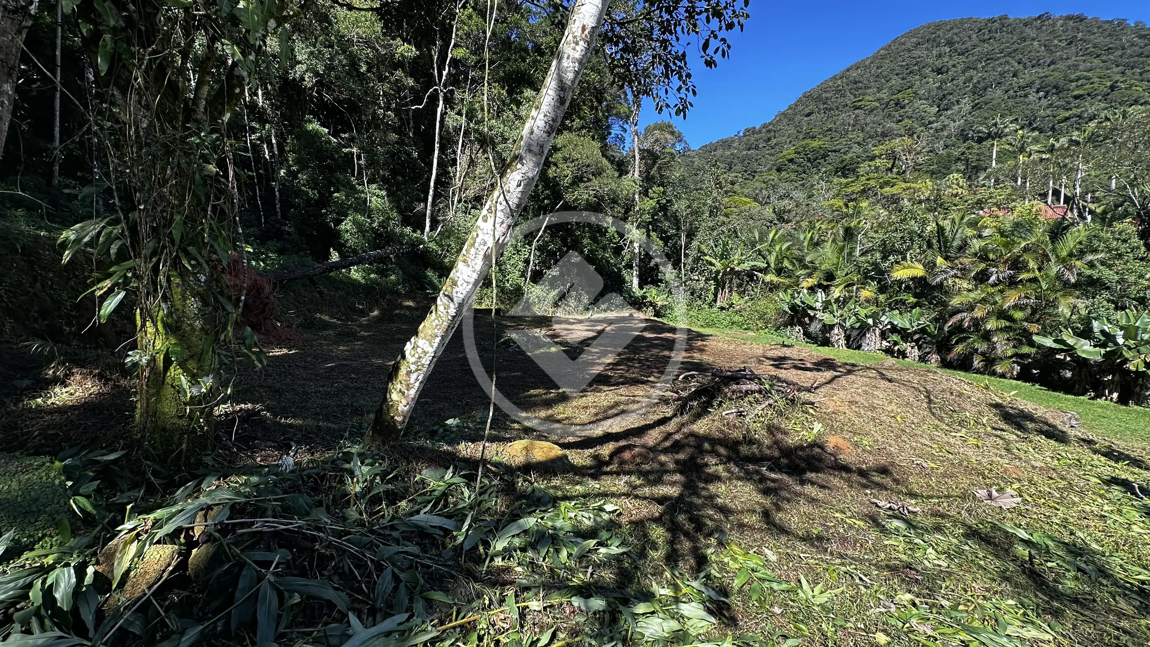 Imagem 5 - Terreno Condomínio em Carlos Guinle, Teresópolis - RJ