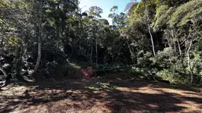Imagem 3 - Terreno Condomínio em Carlos Guinle, Teresópolis - RJ