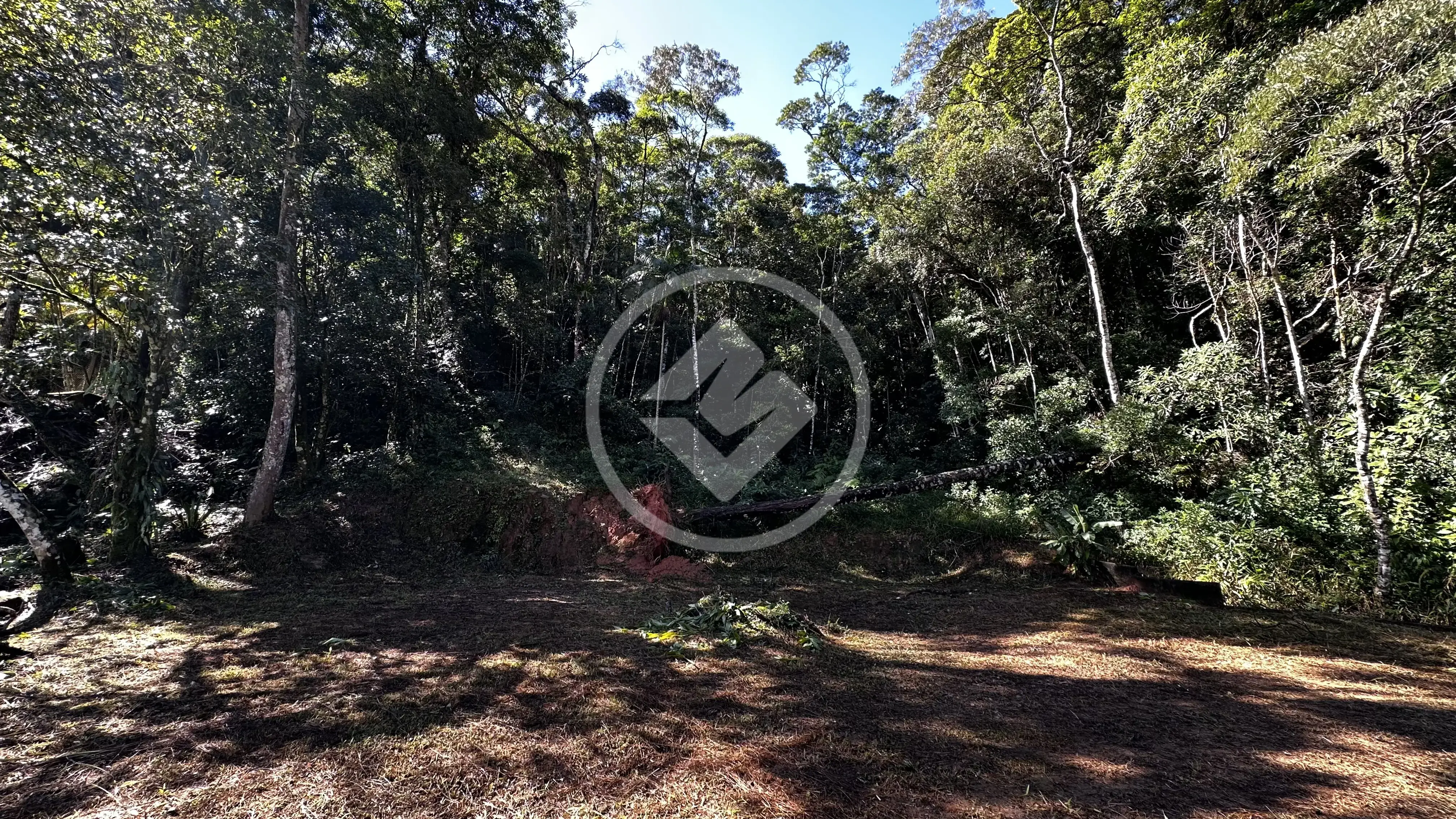 Imagem 3 - Terreno Condomínio em Carlos Guinle, Teresópolis - RJ