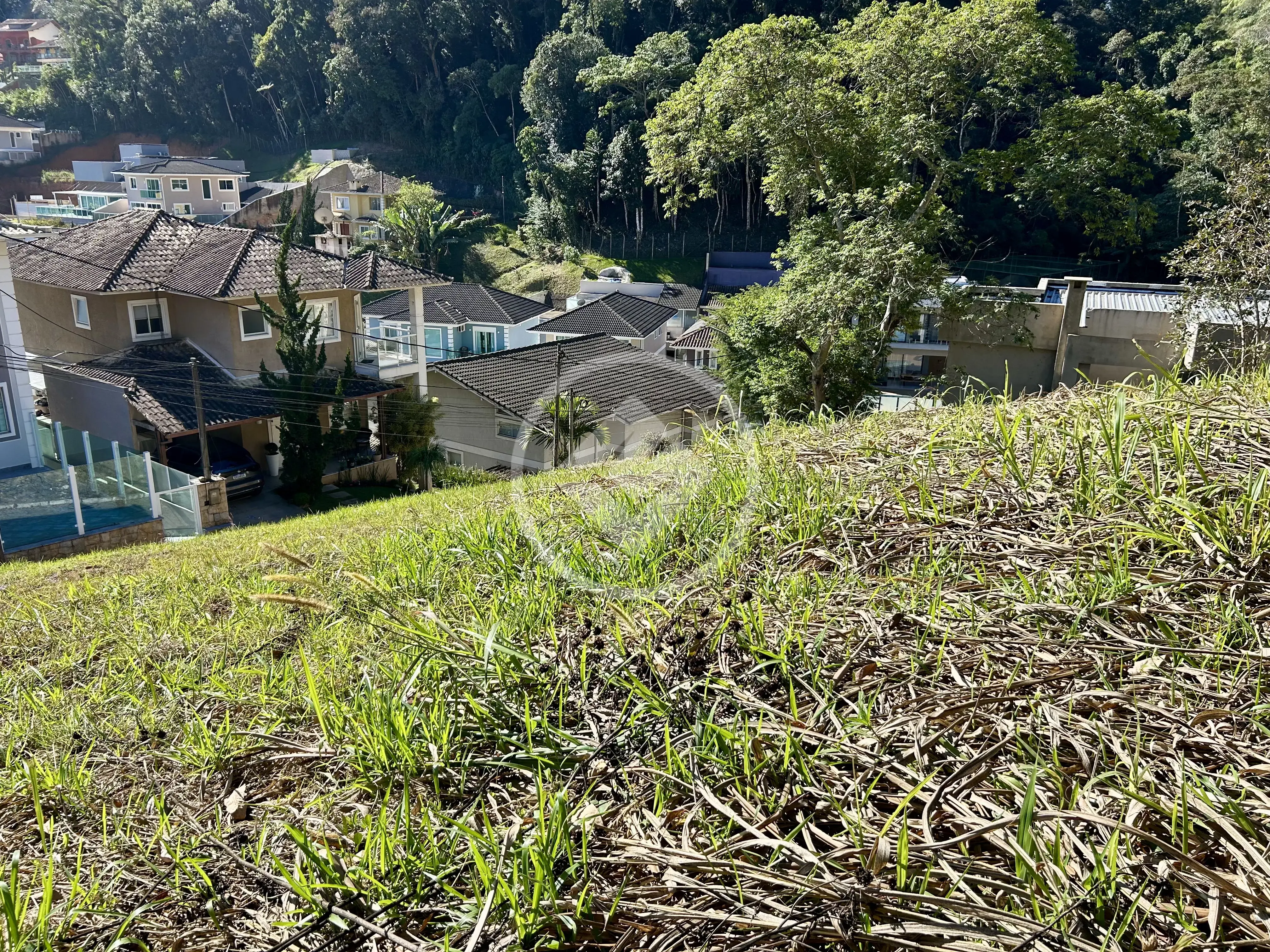 Imagem 2 - Terreno Condomínio em Tijuca, Teresópolis - RJ