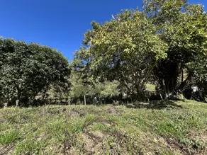Imagem 3 - Terreno Condomínio em Tijuca, Teresópolis - RJ