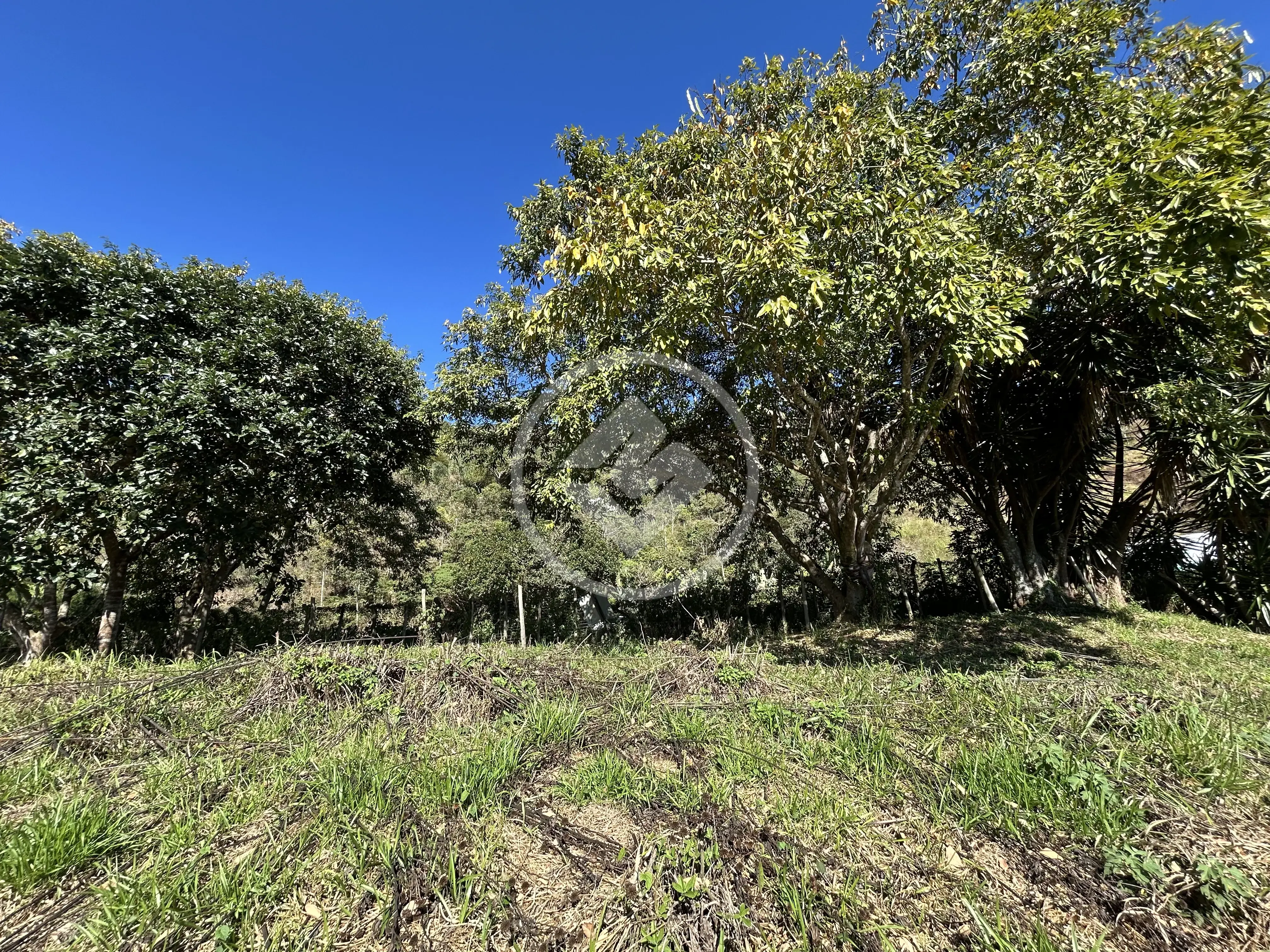 Imagem 3 - Terreno Condomínio em Tijuca, Teresópolis - RJ