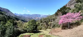 Imagem 5 - Casa Condomínio em Araras, Petrópolis - RJ