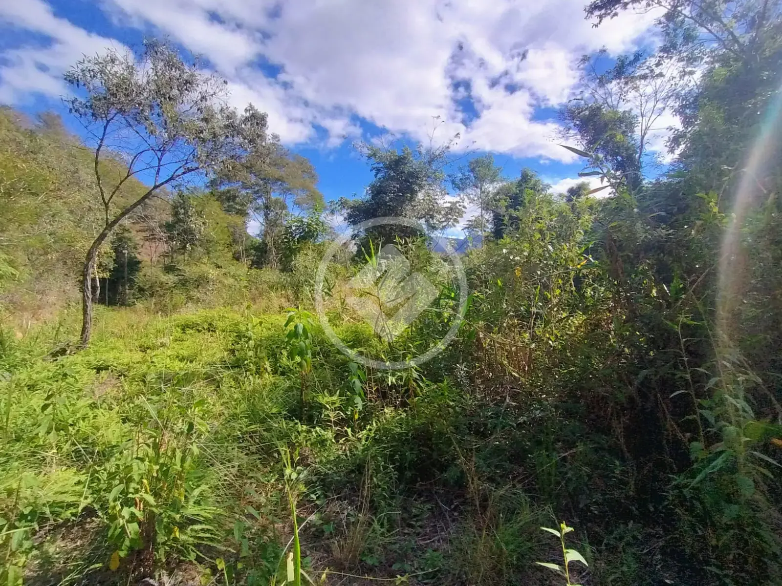 Imagem 4 - Terreno Condomínio em Venda Nova, Teresópolis - RJ