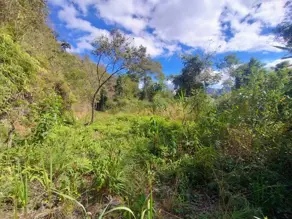 Imagem 5 - Terreno Condomínio em Venda Nova, Teresópolis - RJ