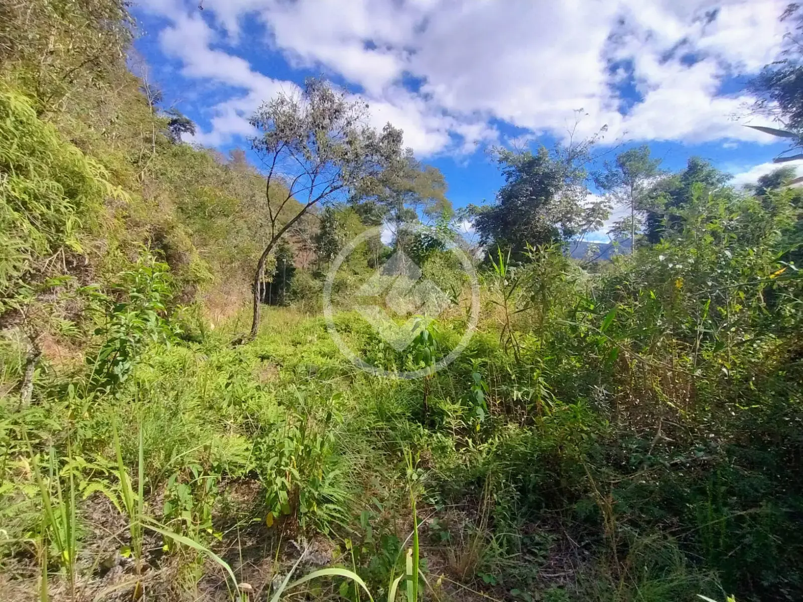 Imagem 5 - Terreno Condomínio em Venda Nova, Teresópolis - RJ