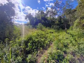 Imagem 6 - Terreno Condomínio em Venda Nova, Teresópolis - RJ
