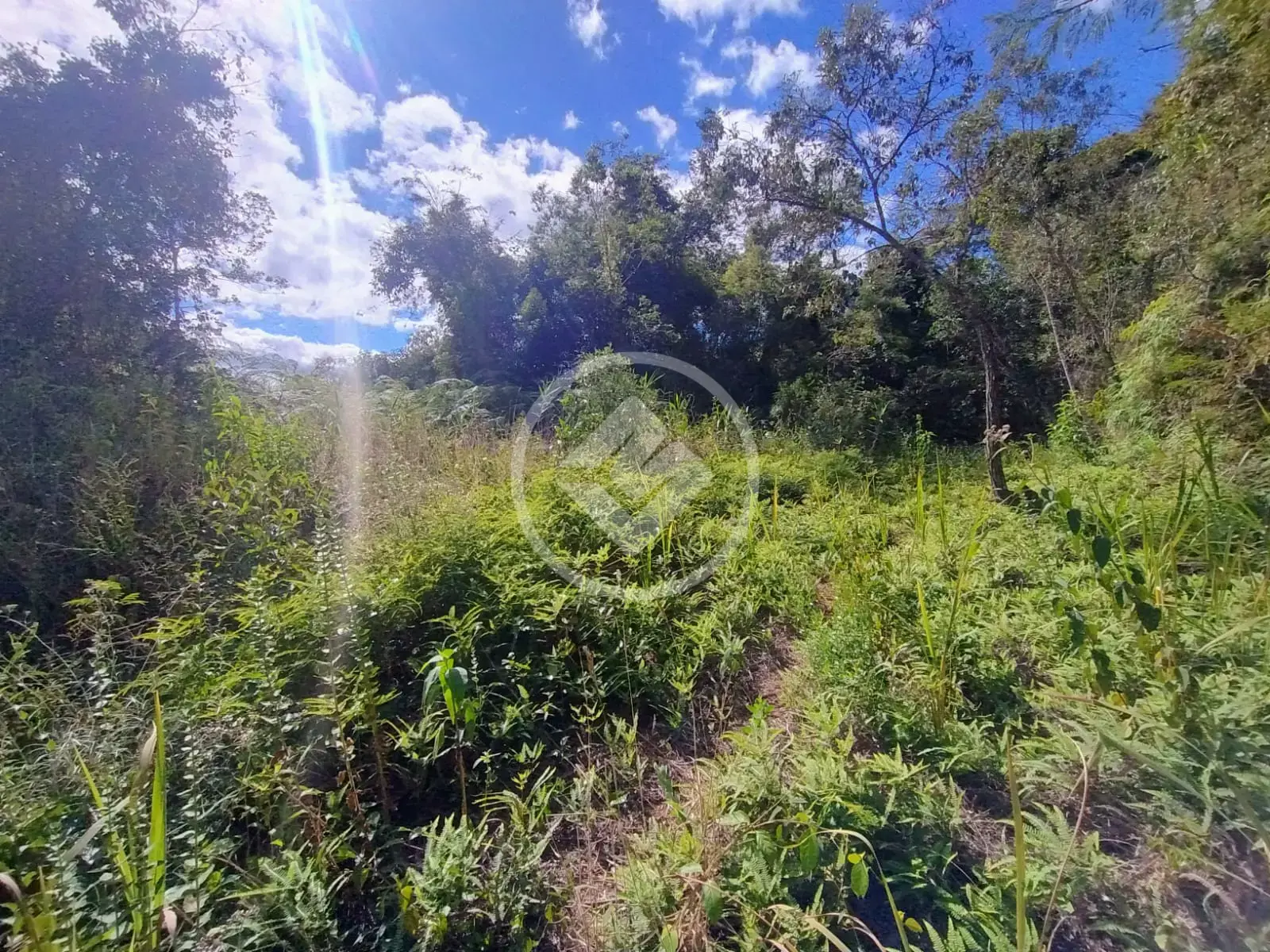 Imagem 6 - Terreno Condomínio em Venda Nova, Teresópolis - RJ