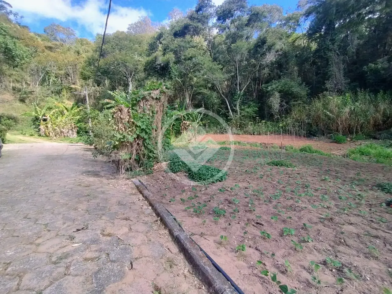 Imagem 2 - Terreno Condomínio em Venda Nova, Teresópolis - RJ