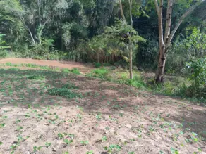 Imagem 5 - Terreno Condomínio em Venda Nova, Teresópolis - RJ