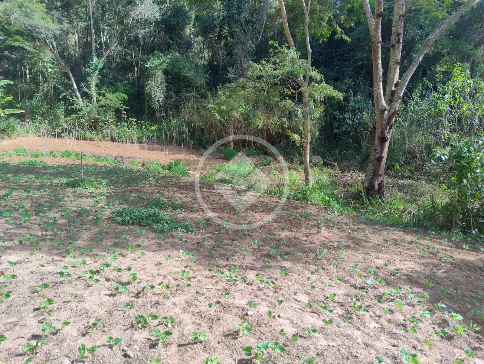 Imagem 5 - Terreno Condomínio em Venda Nova, Teresópolis - RJ