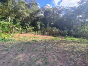 Imagem 6 - Terreno Condomínio em Venda Nova, Teresópolis - RJ