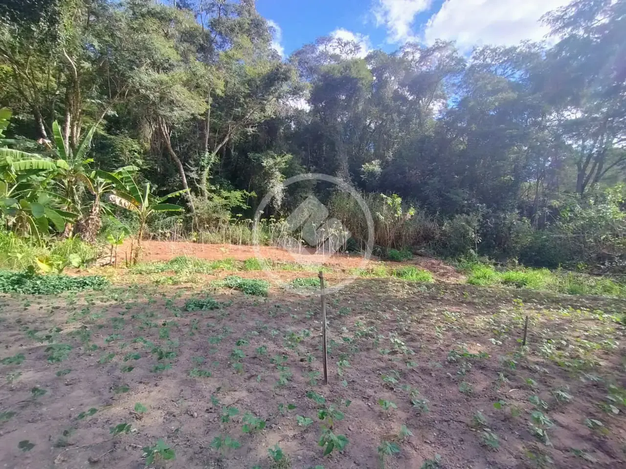 Imagem 6 - Terreno Condomínio em Venda Nova, Teresópolis - RJ