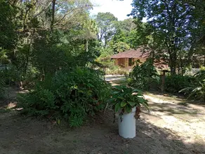 Sítio Citrolândia, Magé - RJ — foto 2