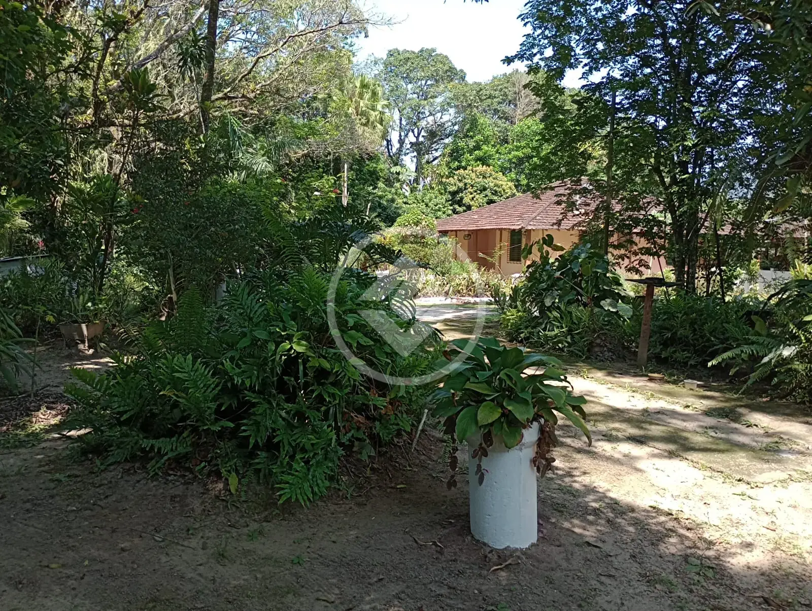 Image 2 - Sítio em Vila Citrolândia (Santo Aleixo), Magé - RJ