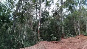 Imagem 4 - Terreno em Albuquerque, Teresópolis - RJ