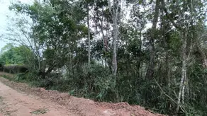 Imagem 5 - Terreno em Albuquerque, Teresópolis - RJ
