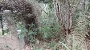 Imagem 6 - Terreno em Albuquerque, Teresópolis - RJ