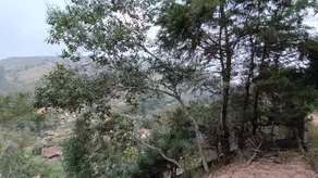 Terreno Albuquerque, Teresópolis - RJ — foto 2