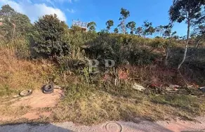 Imagem 4 - Terreno em Prata, Teresópolis - RJ