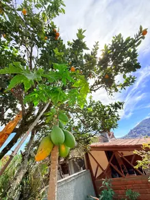 Imagem 6 - Casa em Cascata Guarani, Teresópolis - RJ